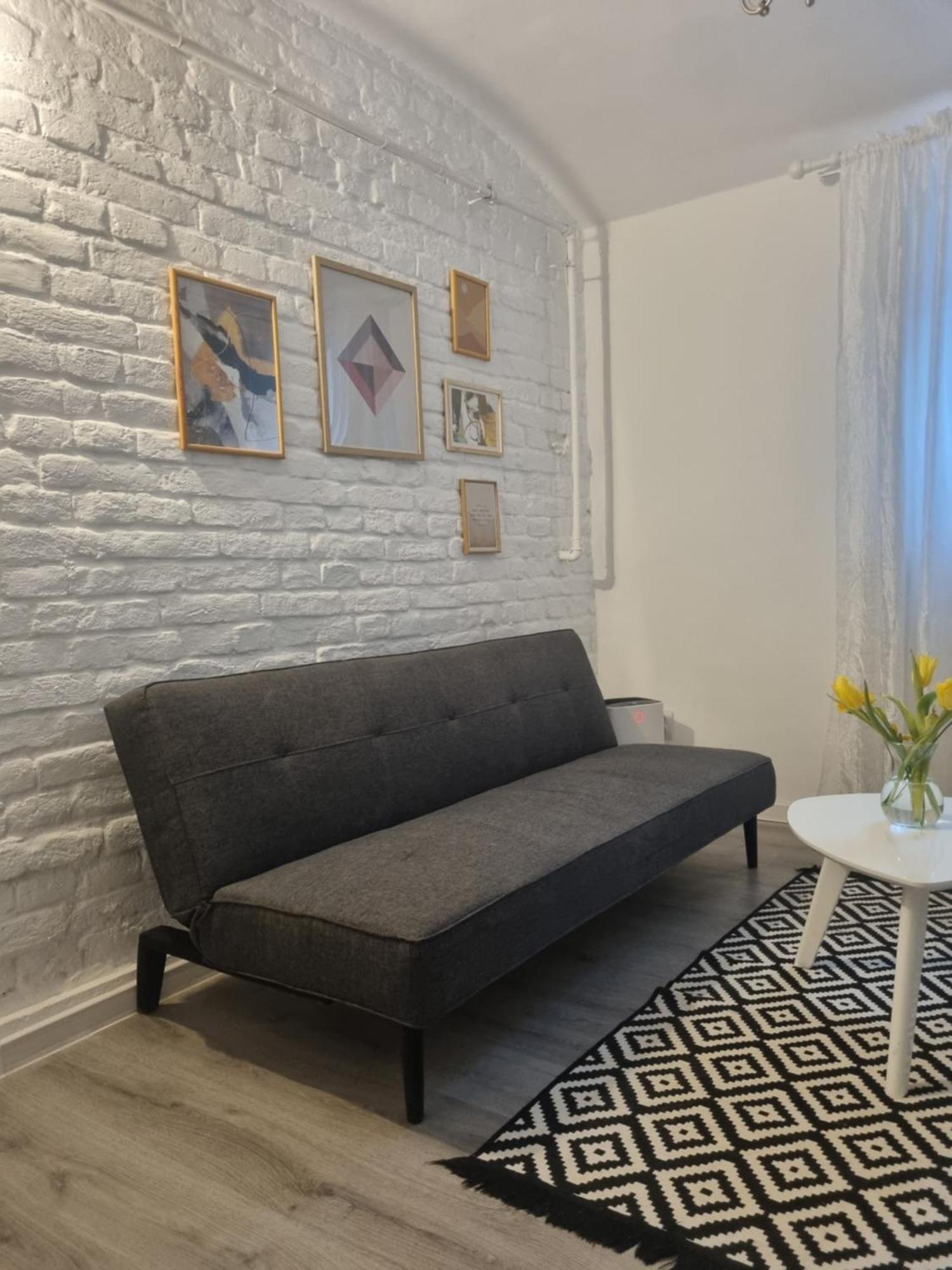 Creative Arch Apartment Timişoara Exterior foto