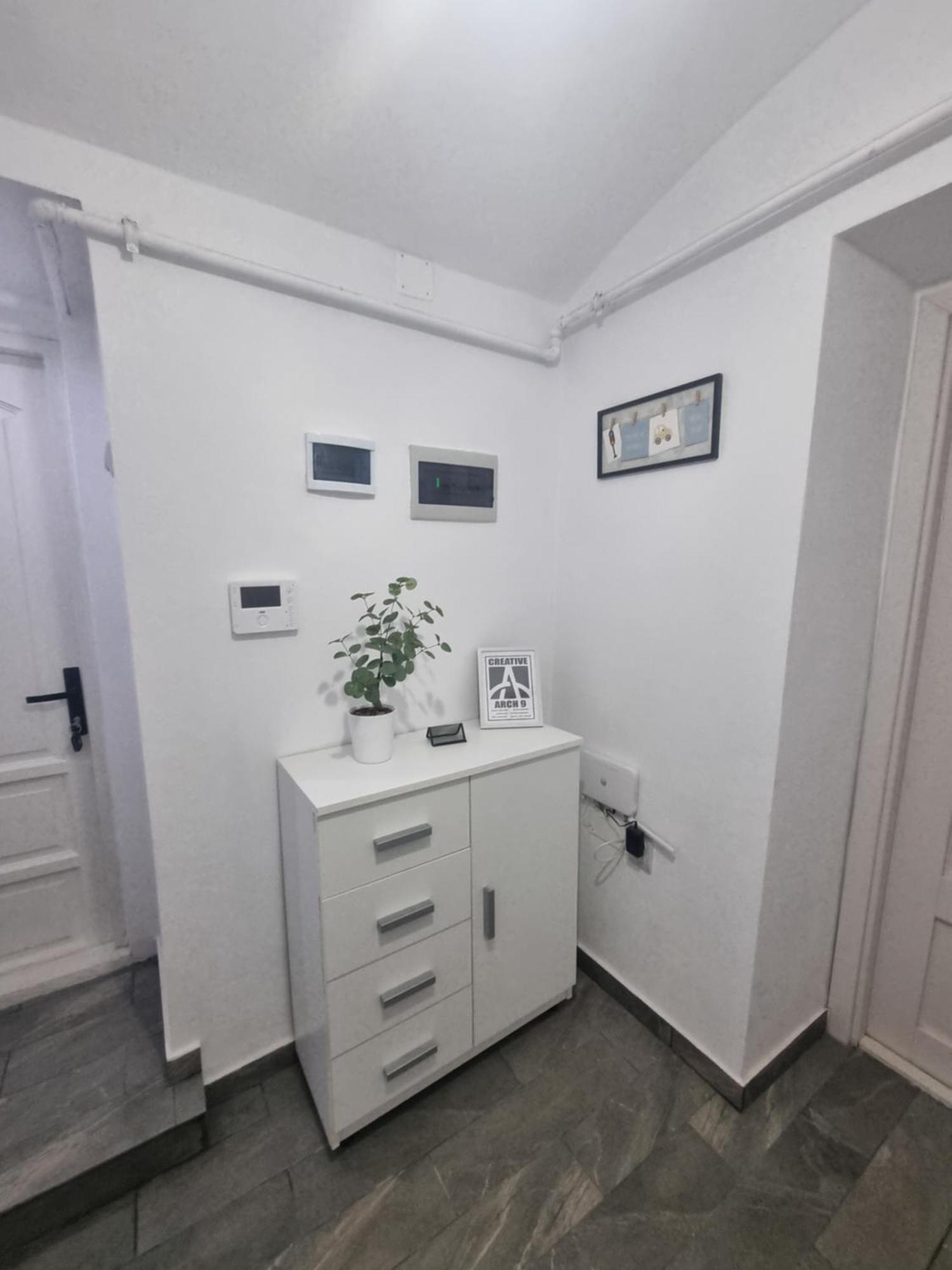 Creative Arch Apartment Timişoara Exterior foto